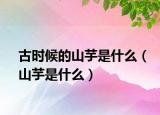 古時(shí)候的山芋是什么（山芋是什么）