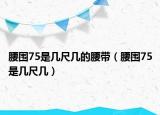 腰圍75是幾尺幾的腰帶（腰圍75是幾尺幾）