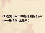 r15型號pacm00是什么版（pacmoo是r15什么版本）