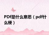 PDf是什么意思（pdf什么梗）