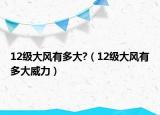 12級(jí)大風(fēng)有多大?（12級(jí)大風(fēng)有多大威力）