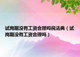 試崗期沒有工資合理嗎民法典（試崗期沒有工資合理嗎）