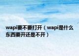 wapi要不要打開（wapi是什么東西要開還是不開）