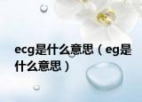 ecg是什么意思（eg是什么意思）