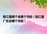 陽(yáng)江是哪個(gè)省哪個(gè)市的（陽(yáng)江是廣東省哪個(gè)市的）