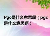 Pgc是什么意思?。╬gc是什么意思?。? /></span></a>
                        <h2><a href=