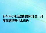 開車不小心壓到狗預(yù)示什么（開車壓到狗有什么兆頭）