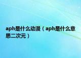 aph是什么動漫（aph是什么意思二次元）