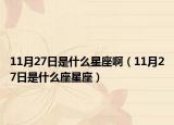 11月27日是什么星座?。?1月27日是什么座星座）