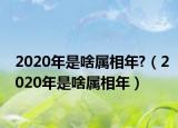 2020年是啥屬相年?（2020年是啥屬相年）