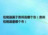 松桃縣屬于貴州省哪個市（貴州松桃縣是哪個市）