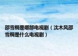 邵雪桐是哪部電視?。ㄉ蚰撅L(fēng)邵雪桐是什么電視劇）