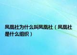 鳳凰社為什么叫鳳凰社（鳳凰社是什么組織）