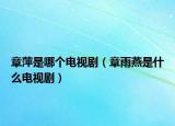 章萍是哪個電視?。ㄕ掠暄嗍鞘裁措娨晞。? /></span></a>
                        <h2><a href=