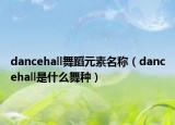 dancehall舞蹈元素名稱（dancehall是什么舞種）