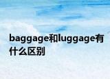 baggage和luggage有什么區(qū)別