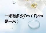 一米有多少Cm（幾cm是一米）