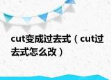 cut變成過去式（cut過去式怎么改）