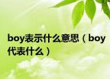 boy表示什么意思（boy代表什么）