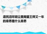 遺民淚盡胡塵里南望王師又一年的意思是什么意思