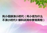 鳳小岳辭演小時(shí)代（鳳小岳為什么不演小時(shí)代3 爆料這其中事情真相）