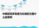 中峨冠而多髯者為東坡的為是什么意思啊