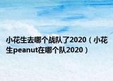 小花生去哪個戰(zhàn)隊了2020（小花生peanut在哪個隊2020）