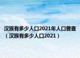 漢族有多少人口2021年人口普查（漢族有多少人口2021）