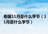 泰國11月是什么季節(jié)（11月是什么季節(jié)）