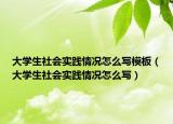 大學(xué)生社會(huì)實(shí)踐情況怎么寫模板（大學(xué)生社會(huì)實(shí)踐情況怎么寫）