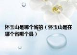 懷玉山是哪個(gè)省的（懷玉山是在哪個(gè)省哪個(gè)縣）