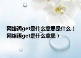 網(wǎng)絡詞get是什么意思是什么（網(wǎng)絡語get是什么意思）