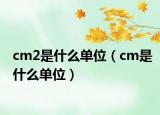 cm2是什么單位（cm是什么單位）