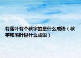 有落葉有個秋字的是什么成語（秋字和落葉是什么成語）