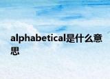 alphabetical是什么意思