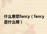 什么意思fancy（fancy是什么梗）