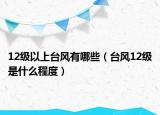 12級以上臺風(fēng)有哪些（臺風(fēng)12級是什么程度）