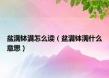 盆滿缽滿怎么讀（盆滿缽滿什么意思）