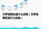 天羅地網(wǎng)比喻什么動(dòng)物（天羅地網(wǎng)形容什么動(dòng)物）