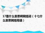 17是什么意思啊網(wǎng)絡(luò)詞（十七什么意思網(wǎng)絡(luò)用語(yǔ)）