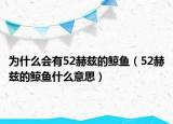 為什么會(huì)有52赫茲的鯨魚(yú)（52赫茲的鯨魚(yú)什么意思）