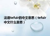 法語(yǔ)tefuir的中文意思（tefuir中文什么意思）