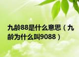 九齡88是什么意思（九齡為什么叫9088）