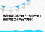 楊柳青青江水平的下一句是什么（楊柳青青江水平的下兩句）