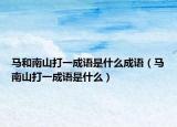 馬和南山打一成語是什么成語（馬南山打一成語是什么）