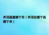 齊河縣是哪個市（齊河在哪個省哪個市）