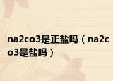 na2co3是正鹽嗎（na2co3是鹽嗎）