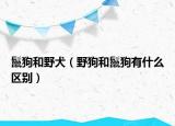 鬣狗和野犬（野狗和鬣狗有什么區(qū)別）