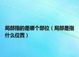 局部指的是哪個(gè)部位（局部是指什么位置）