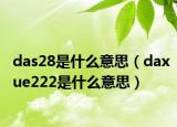 das28是什么意思（daxue222是什么意思）